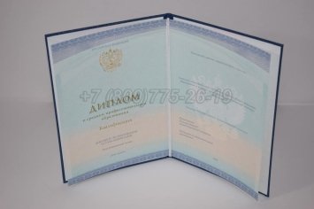 Диплом Техникума 2023г СпецБланк в Брянске