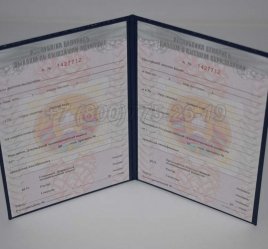 Диплом о Высшем Образовании Белоруссии 2009г в Брянске