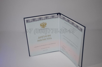 Диплом Магистра 2024г ООО "Знак" в Брянске
