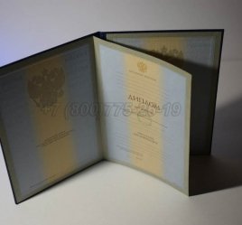 Диплом Института 2002г в Брянске