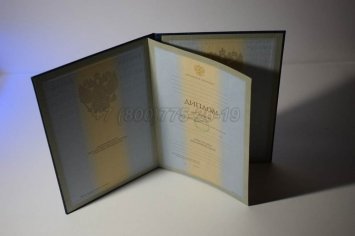 Диплом Института 2002г в Брянске