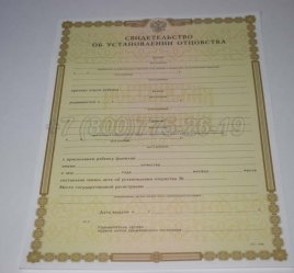 Свидетельство об Установлении Отцовства 2003г в Брянске