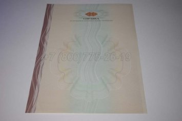 Академическая Справка ВУЗа 2023г в Брянске