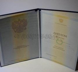 Диплом Института 2009г в Брянске