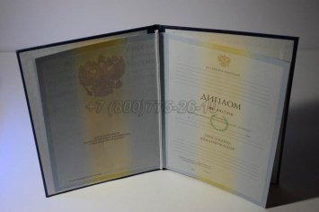 Диплом Института 2009г в Брянске