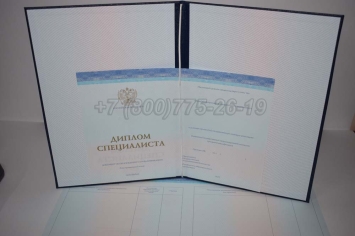 Диплом о Высшем Образовании 2023г СпецБланк в Брянске