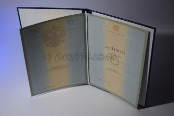 Диплом Института 2006г в Брянске